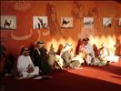 Camel show in Qatar